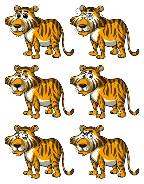 A különböző arckifejezéseket tigris — Stock Vector