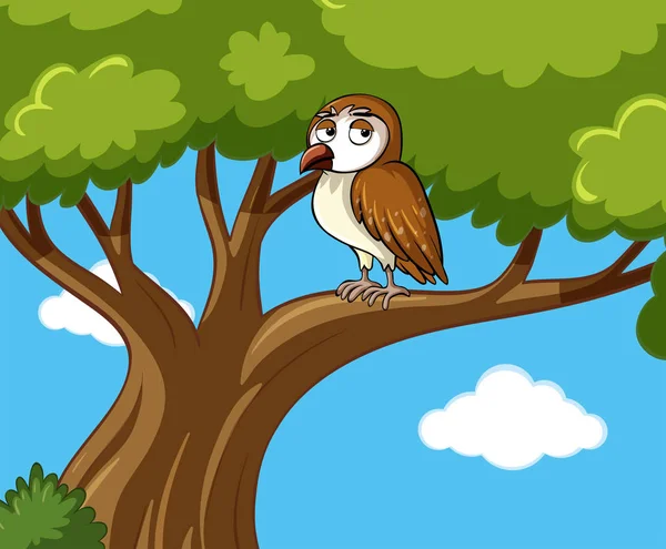 Baykuş dalda gündüz duruyor.