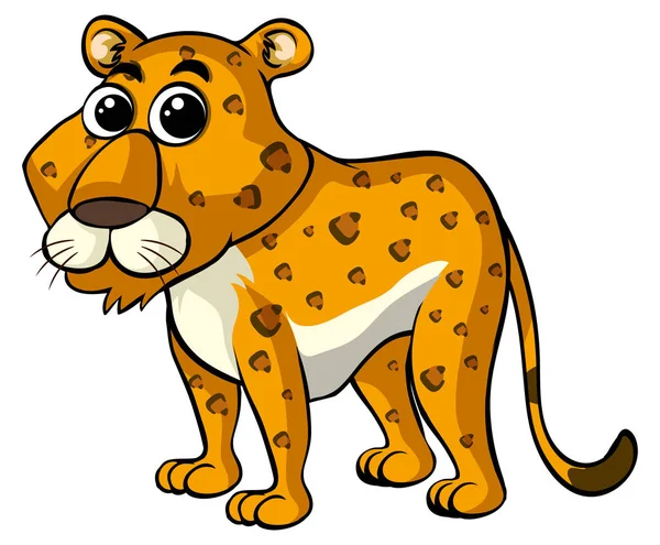 Cheetah beyaz arka plan üzerinde