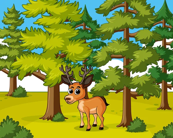 Ormanda yaşayan geyik