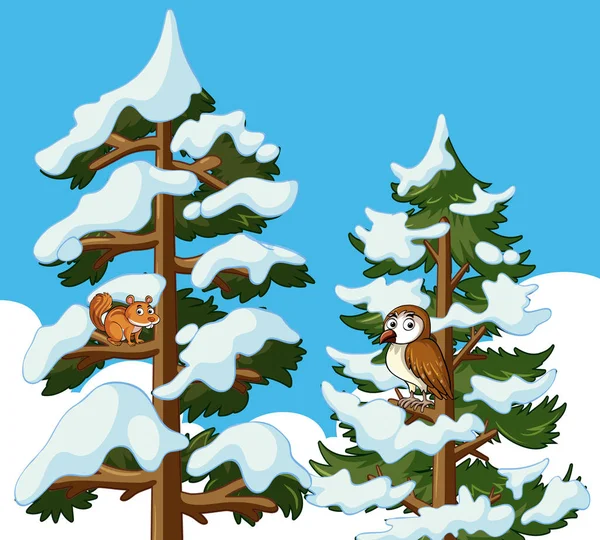 Wiewiórka i Sowa pine Tree pokryte śniegiem — Wektor stockowy