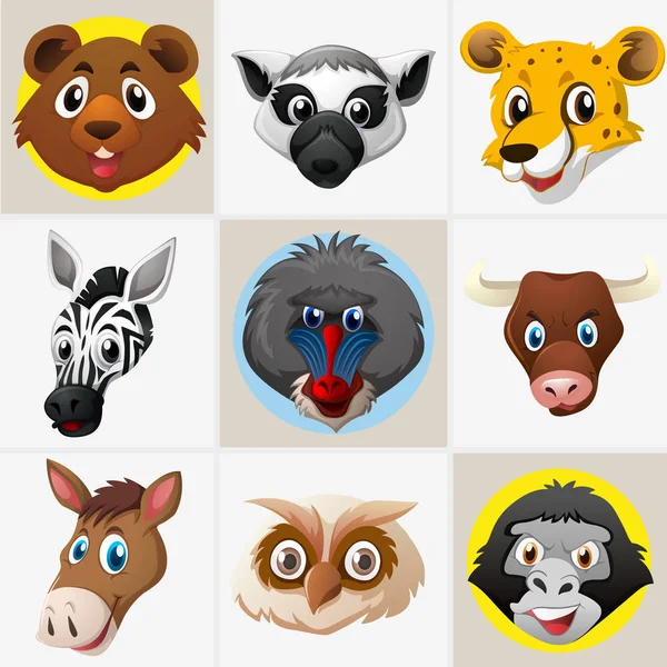 Vahşi hayvanların farklı yüzleri