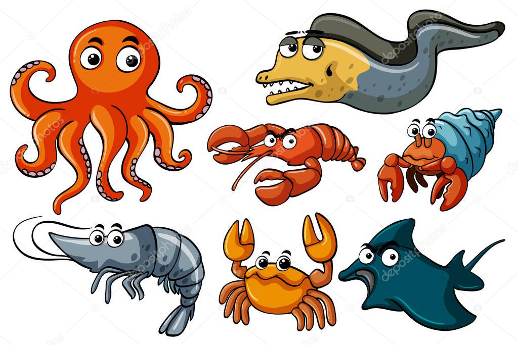 Different kinds of sea wildlife