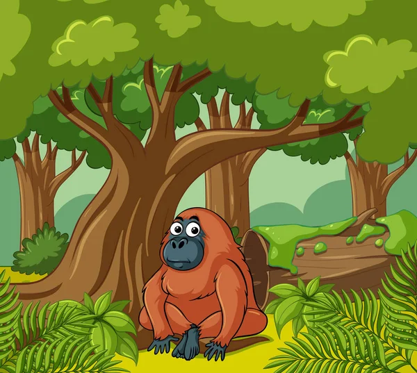 Orangutan vive na floresta —  Vetores de Stock