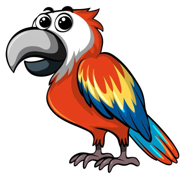 Papagaio colorido no fundo branco — Vetor de Stock