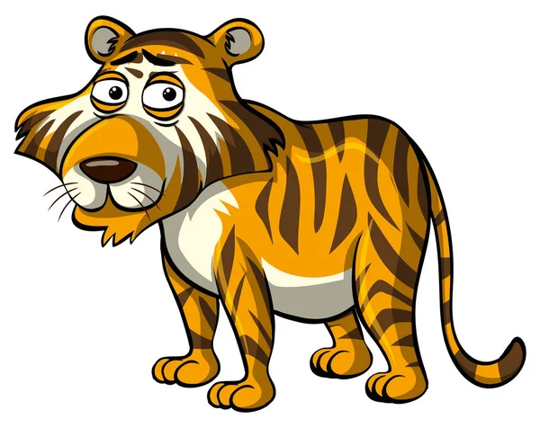 Divoký tygr na bílém pozadí — Stockový vektor