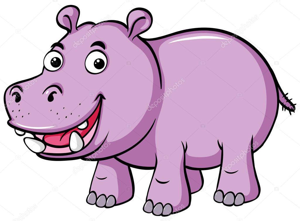 Cute hippo smiles on white background