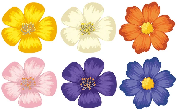 İzole beyaz arka plan üzerinde renkli çiçekler