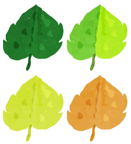 Watercolor painting for leaves in different seasons — Stock Vector