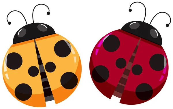 สีเหลืองและสีแดง ladybugs บนพื้นหลังสีขาว — ภาพเวกเตอร์สต็อก