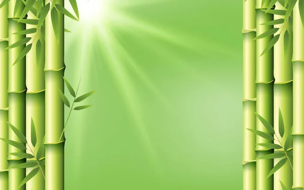 Yeşil arka plan bambu — Stok Vektör