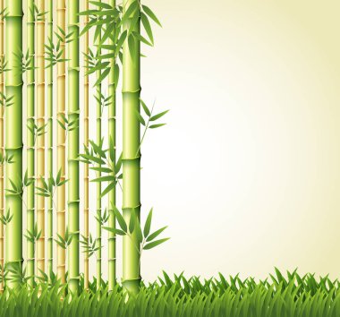 Arka plan tasarımı bambu ormanı ile