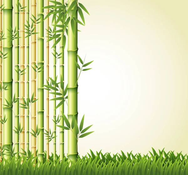 Design di sfondo con foresta di bambù — Vettoriale Stock