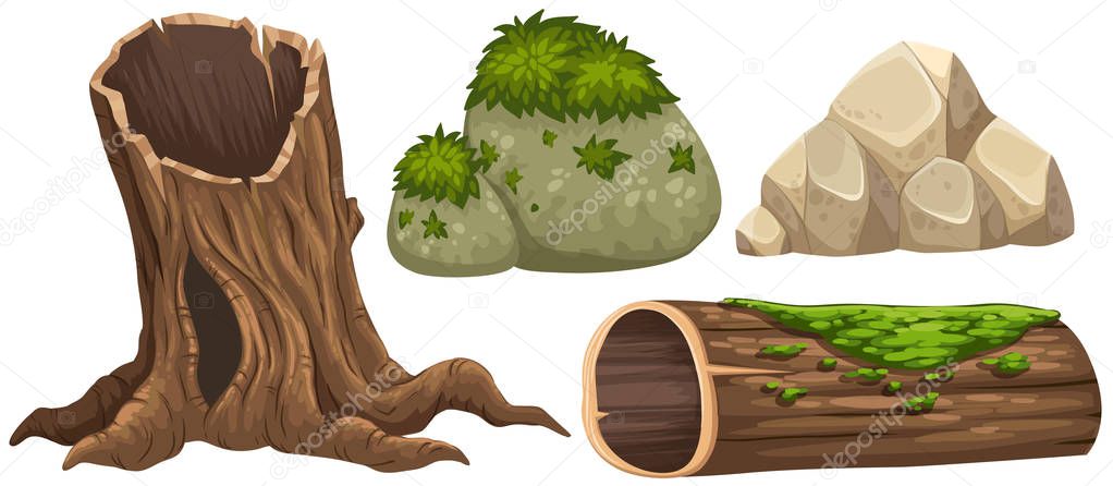 Log and rocks with moss on top