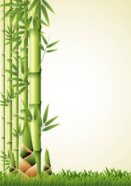 Doğa arka plan tasarımı bambu ile