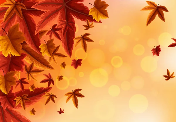 Hintergrund-Design mit orangen Blättern — Stockvektor