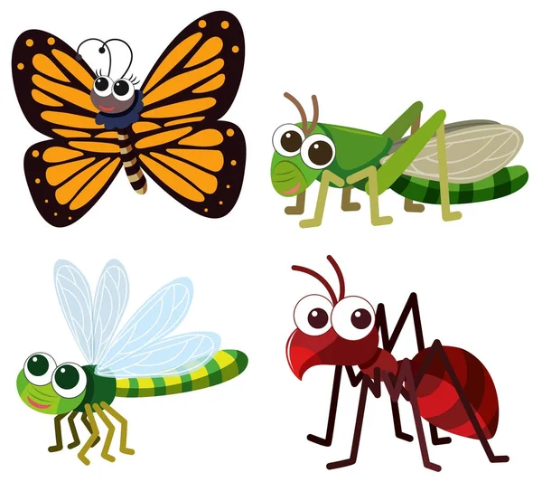 Four different types of insects on white background — Stock Vector