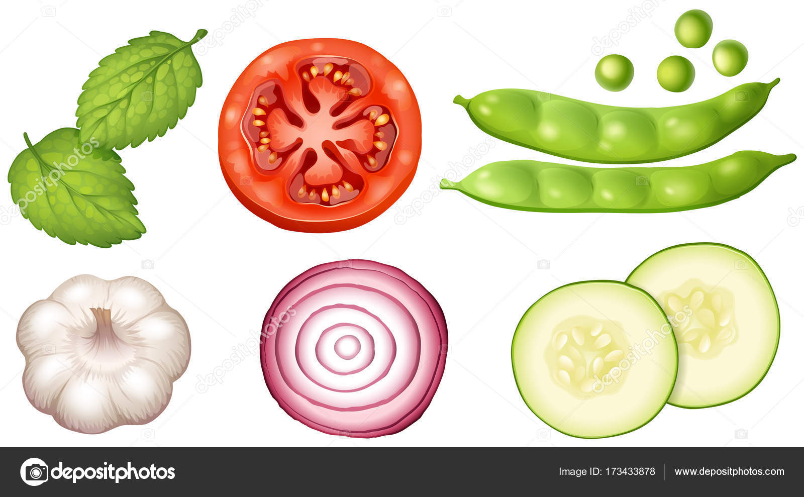 すべての美しい花の画像 トップ100白い 野菜 種類 すべての美しい花の画像 トップ100白い 野菜 種類