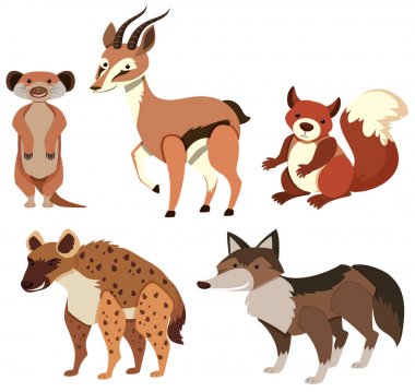 Farklı türde vahşi hayvanlar üzerinde beyaz 