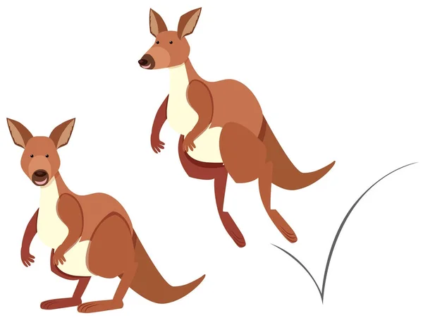 Beyaz zemin üzerine atlamalı kanguru — Stok Vektör