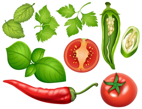 Különböző típusú zöldségek — Stock Vector