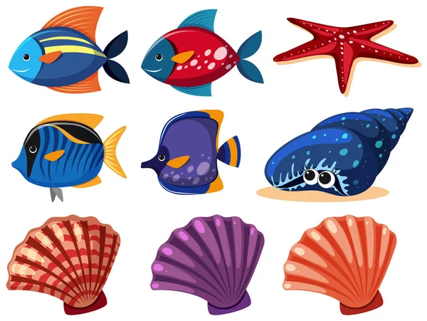 Diversi tipi di animali marini — Vettoriale Stock