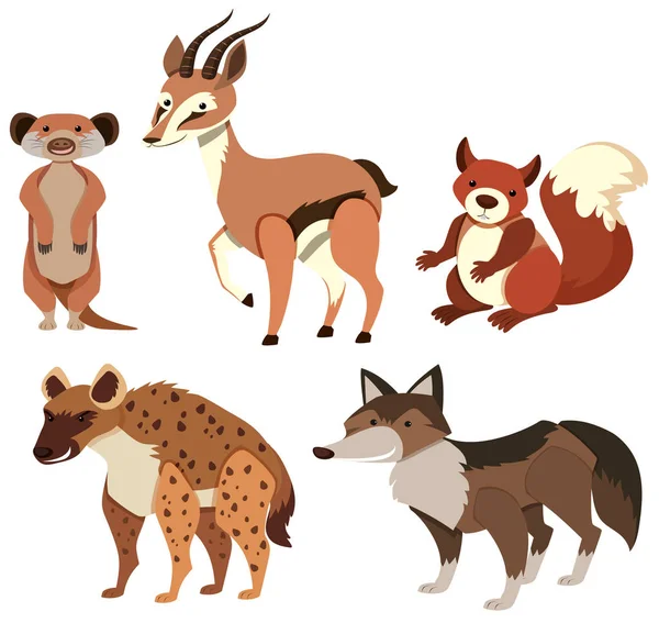 Différents types d'animaux sauvages sur blanc — Image vectorielle