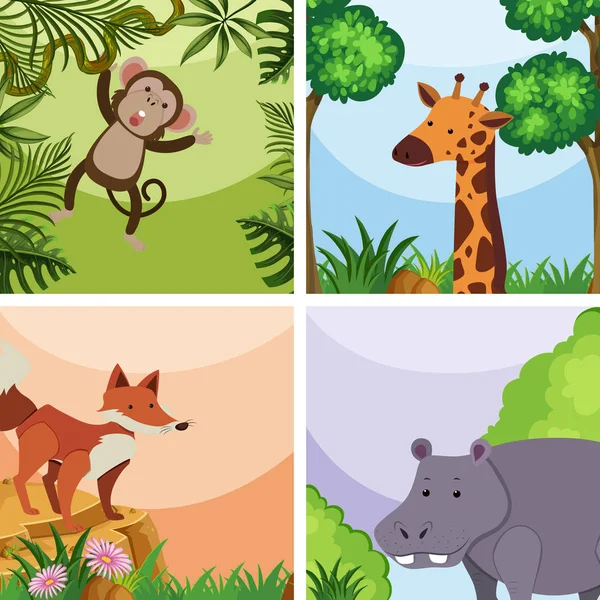 Background template with wild animals in forest