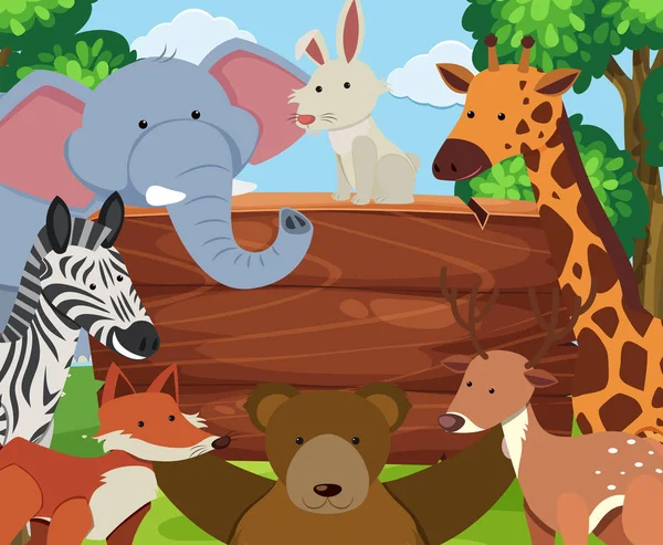Wild animals around wooden board — Stock Vector