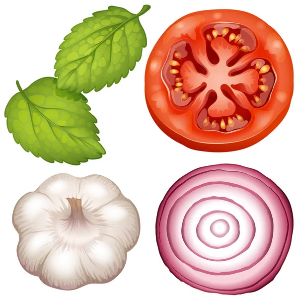 Fyra sorters grönsaker på vit bakgrund — Stock vektor