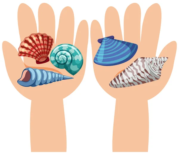 人間の手で貝殻 — ストックベクタ