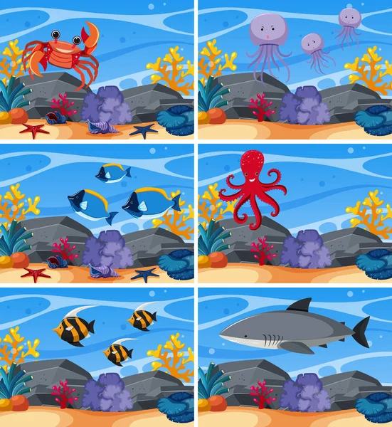 Шесть подводных сцен с морскими животными — стоковый вектор