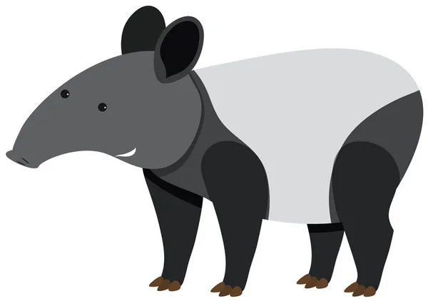 Schattig tapir staande op witte achtergrond — Stockvector