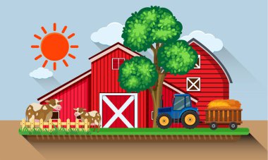 İnek ve mavi traktör ile çiftlik avlusu