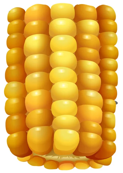 Zoete maïs op de kolf — Stockvector