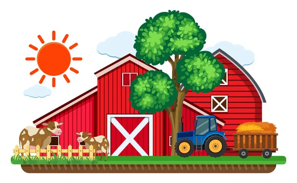 Büyük kırmızı kulübeler ve gruptaki iki inek