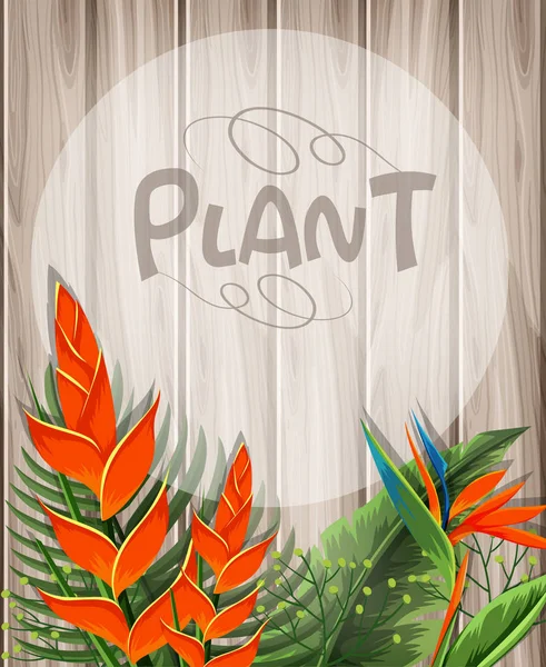 Plantilla de fondo con flores de ave del paraíso — Vector de stock