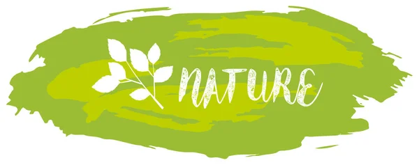 Font design per la parola natura in verde — Vettoriale Stock