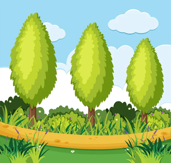 Escena del parque con pinos a lo largo del camino — Vector de stock