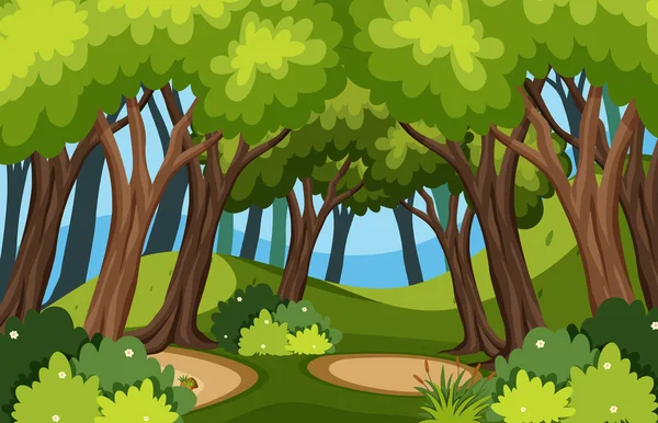 森の木と自然の景色 — ストックベクタ