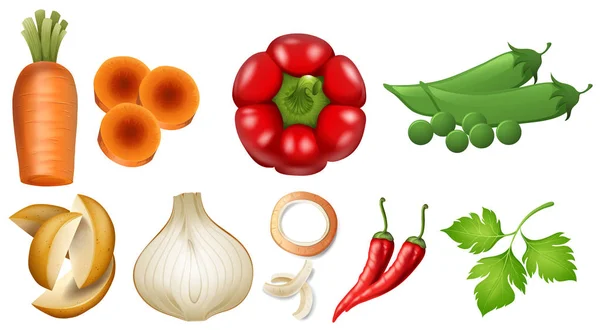 Différents types de légumes frais — Image vectorielle