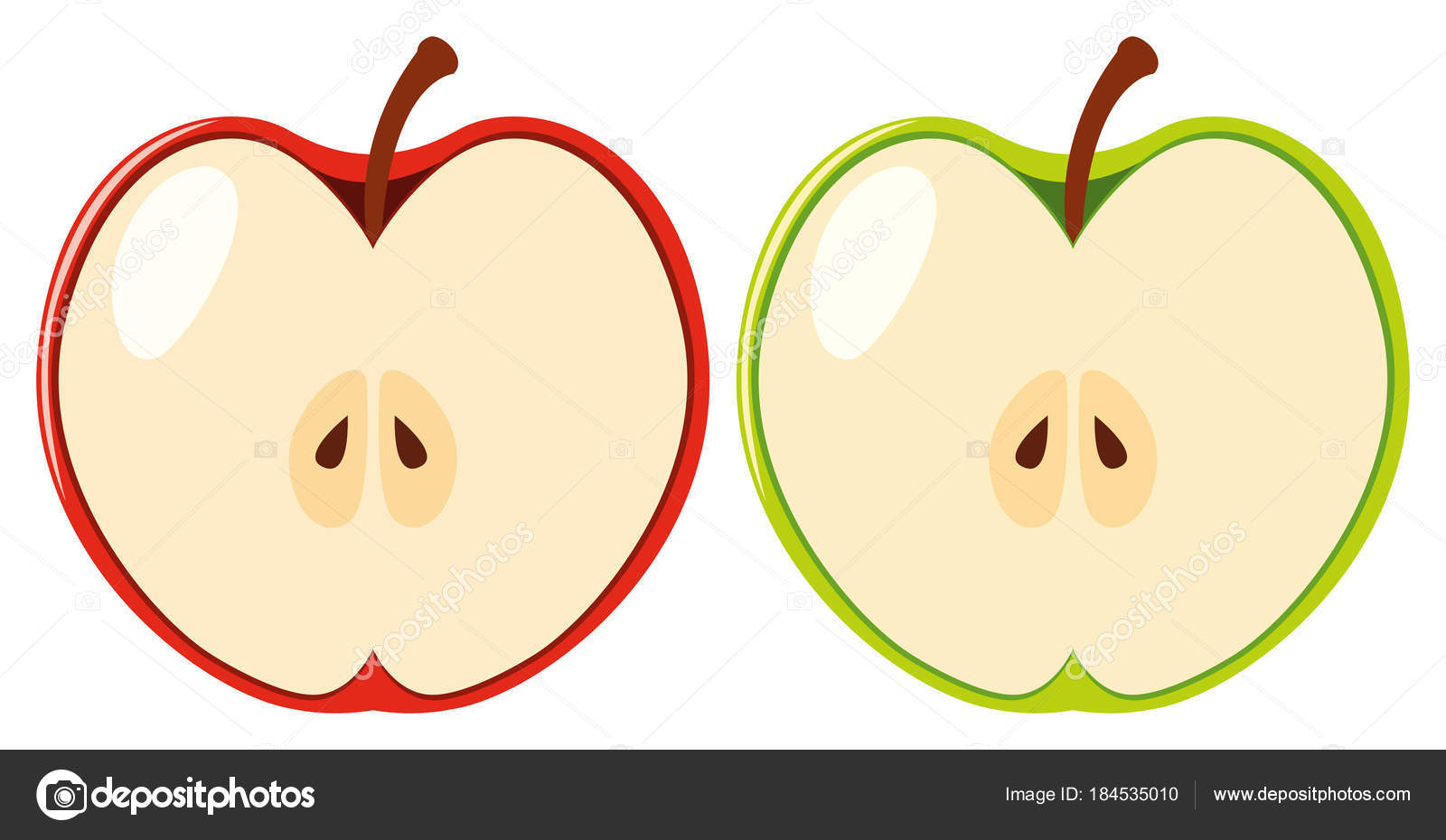 Red And Green Apples Cut In Half Vector Image By C Brgfx Vector Stock