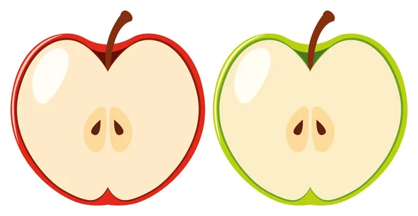 Kırmızı ve yeşil elma yarıya — Stok Vektör
