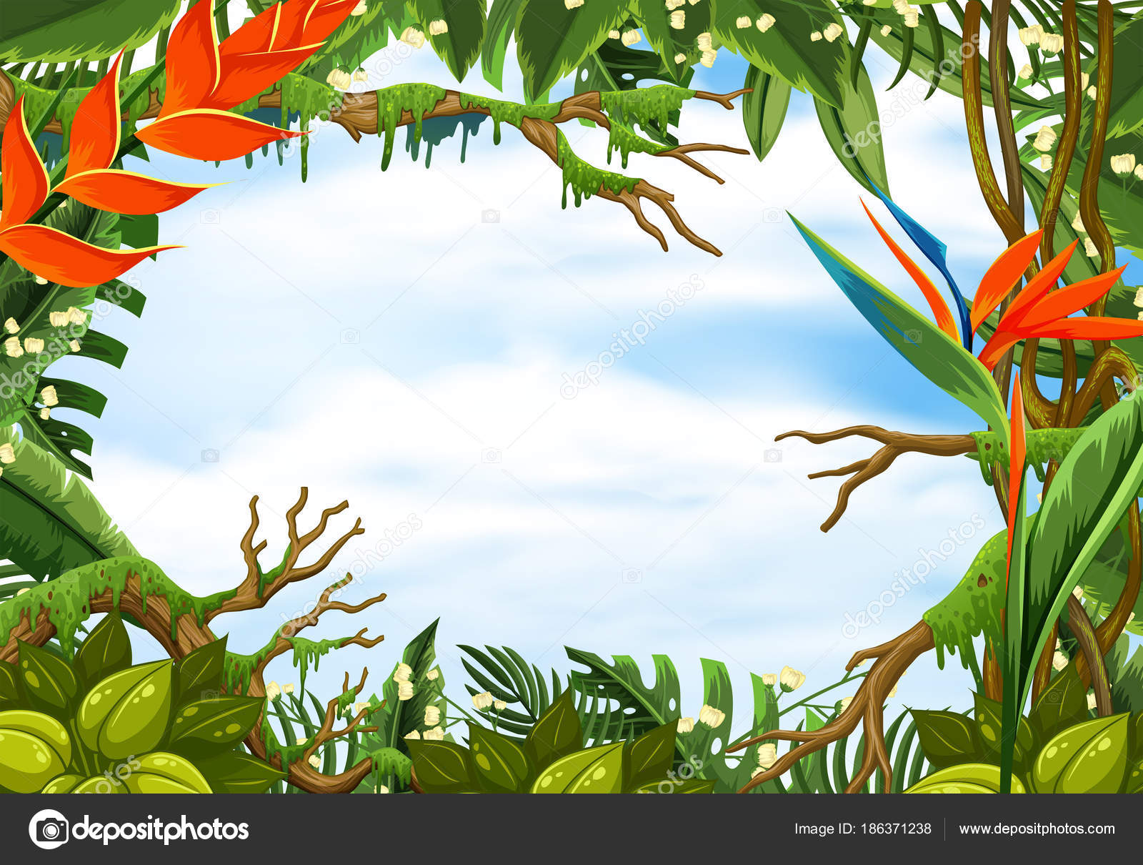 Rainforest Border Paper