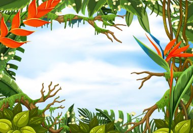 Tropikal yağmur ormanları ile sınır şablonu