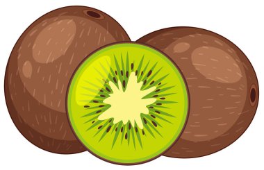 İki taze kivi meyve tamamen ve bir yarıya