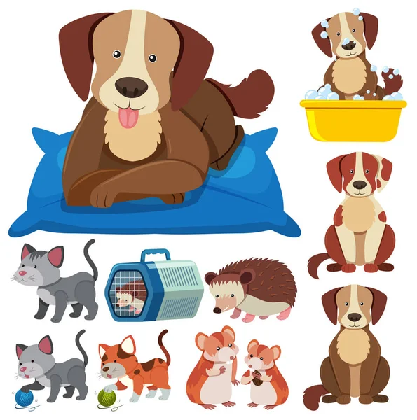 Cute Pets on White Backgroud — Stock Vector