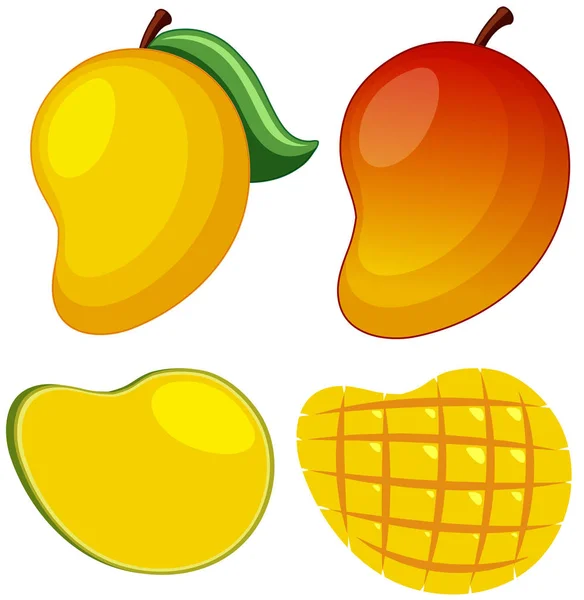 Beyaz arkaplanda taze mango — Stok Vektör