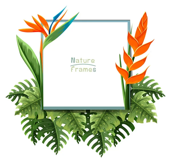 Nature frame with bird of paradise flower — Stock Vector