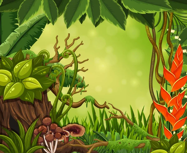 Prachtige regenwoud groen sjabloon — Stockvector